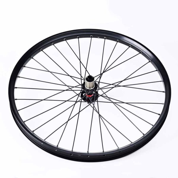 Wheel with rim, spokes and hub rear